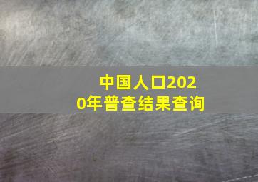 中国人口2020年普查结果查询