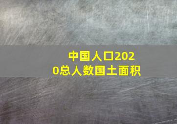 中国人口2020总人数国土面积