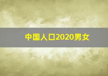 中国人口2020男女