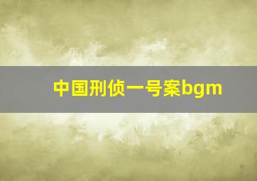 中国刑侦一号案bgm