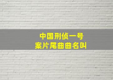 中国刑侦一号案片尾曲曲名叫