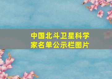 中国北斗卫星科学家名单公示栏图片