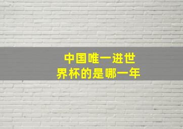 中国唯一进世界杯的是哪一年