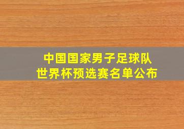 中国国家男子足球队世界杯预选赛名单公布