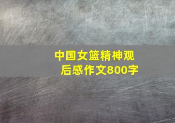 中国女篮精神观后感作文800字