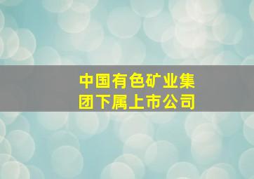 中国有色矿业集团下属上市公司