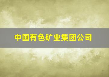 中国有色矿业集团公司