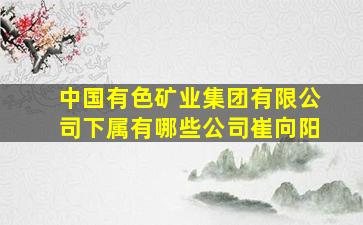 中国有色矿业集团有限公司下属有哪些公司崔向阳