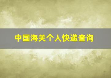 中国海关个人快递查询