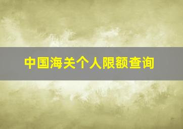 中国海关个人限额查询