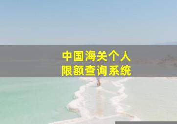 中国海关个人限额查询系统