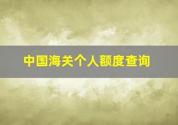 中国海关个人额度查询