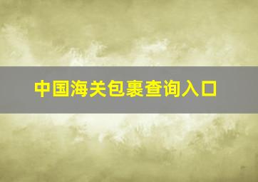 中国海关包裹查询入口