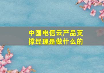 中国电信云产品支撑经理是做什么的