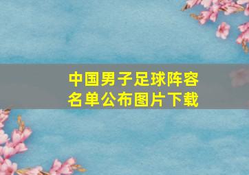 中国男子足球阵容名单公布图片下载