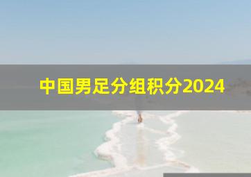 中国男足分组积分2024