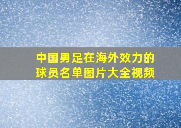 中国男足在海外效力的球员名单图片大全视频