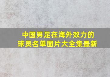 中国男足在海外效力的球员名单图片大全集最新