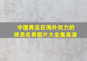 中国男足在海外效力的球员名单图片大全集高清