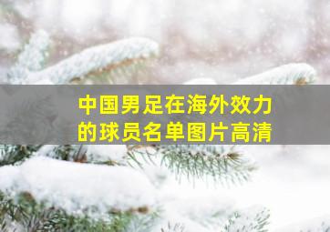 中国男足在海外效力的球员名单图片高清