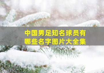 中国男足知名球员有哪些名字图片大全集