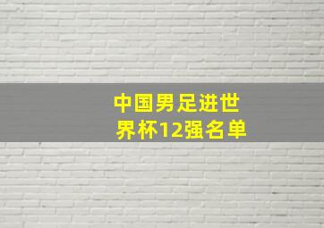 中国男足进世界杯12强名单