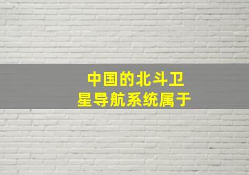 中国的北斗卫星导航系统属于