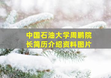 中国石油大学周鹏院长简历介绍资料图片