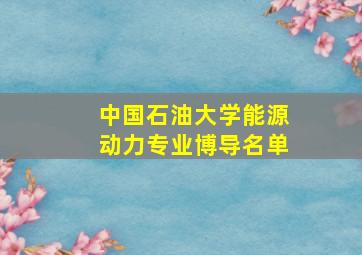 中国石油大学能源动力专业博导名单