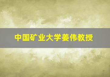 中国矿业大学姜伟教授