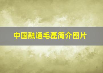 中国融通毛磊简介图片