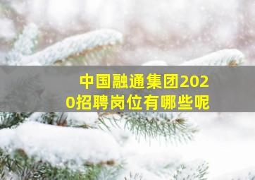 中国融通集团2020招聘岗位有哪些呢