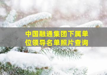 中国融通集团下属单位领导名单照片查询