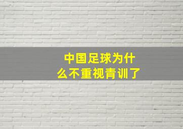 中国足球为什么不重视青训了