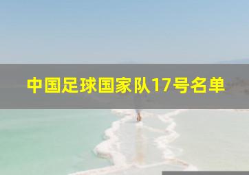 中国足球国家队17号名单