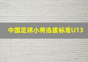 中国足球小将选拔标准U13