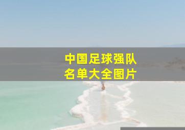 中国足球强队名单大全图片