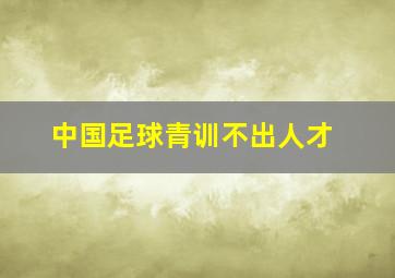 中国足球青训不出人才