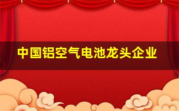 中国铝空气电池龙头企业