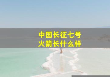 中国长征七号火箭长什么样