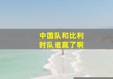 中国队和比利时队谁赢了啊