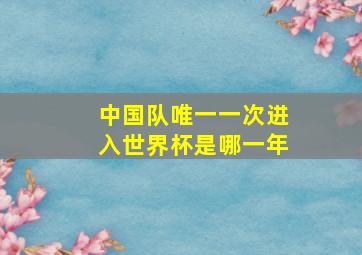 中国队唯一一次进入世界杯是哪一年