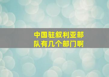 中国驻叙利亚部队有几个部门啊