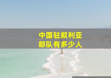 中国驻叙利亚部队有多少人