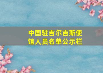 中国驻吉尔吉斯使馆人员名单公示栏