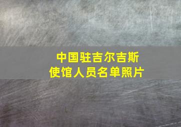 中国驻吉尔吉斯使馆人员名单照片