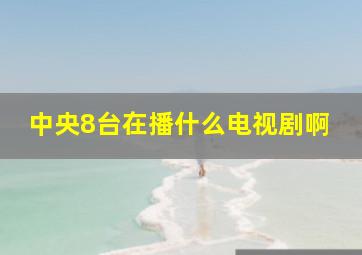 中央8台在播什么电视剧啊