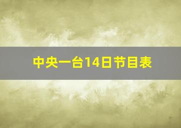 中央一台14日节目表