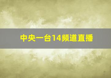 中央一台14频道直播