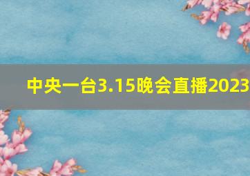 中央一台3.15晚会直播2023